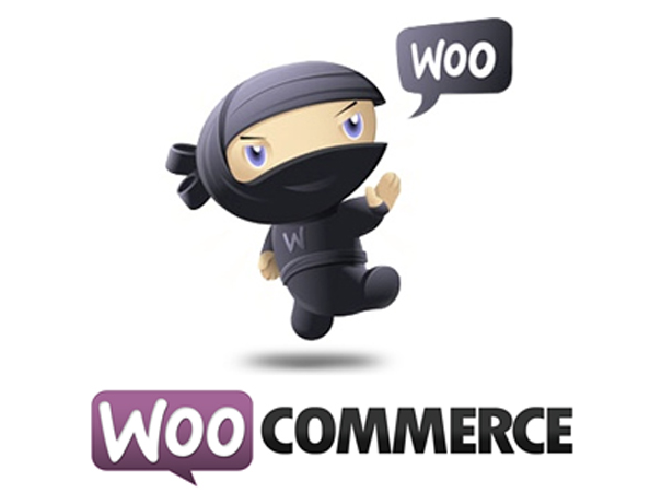 hangout WordPress + Woocommeerce