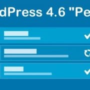 WordPress 4.6 Pepper WordPress 4.6 Pepper