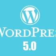 WordPress 5.0